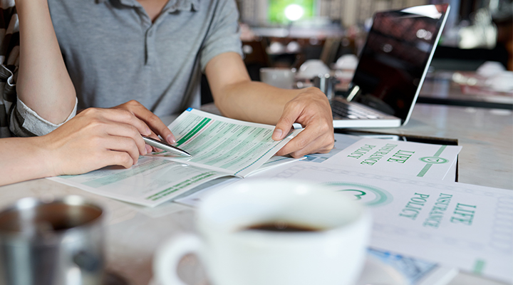 Catalog Graphic Design Translation